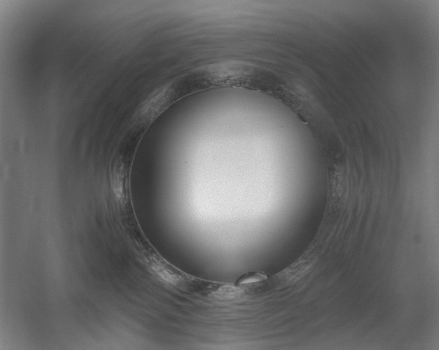 X0000052920138200507151600