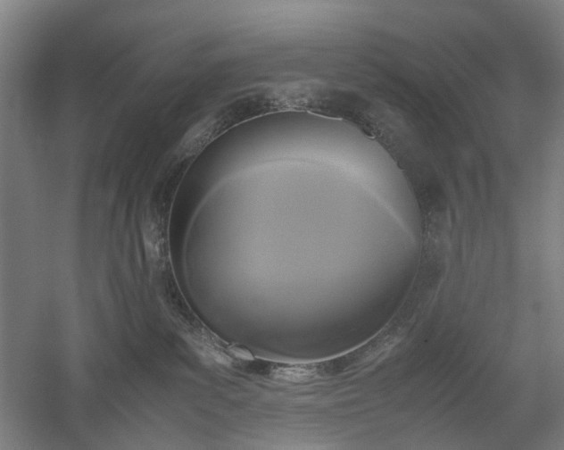 X0000052920139200507151600