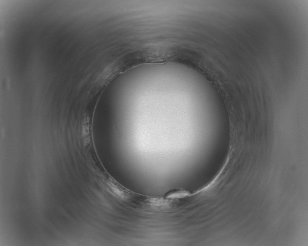 X0000052920144200507151600