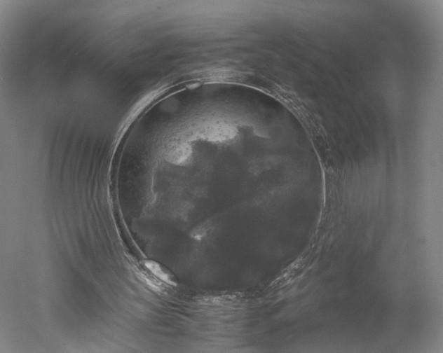 X0000052920147200507151559