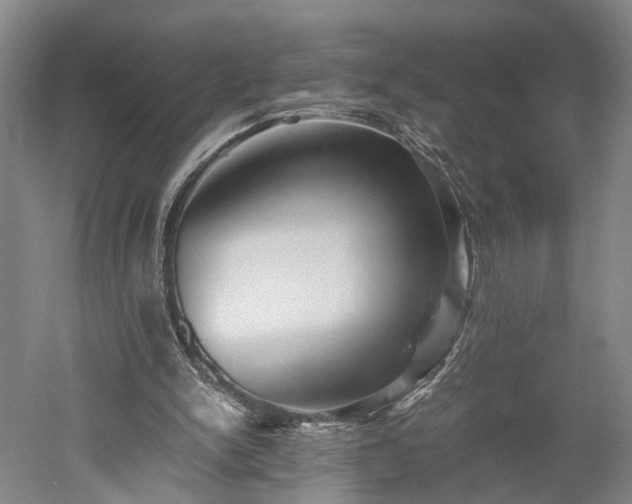 X0000052920150200507151559