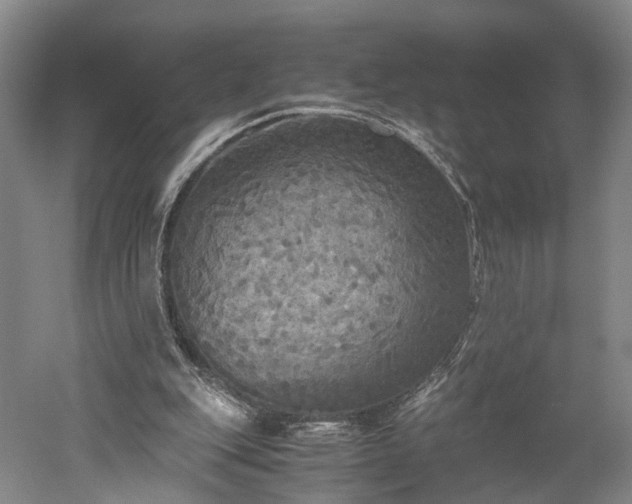 X0000052920151200507151559