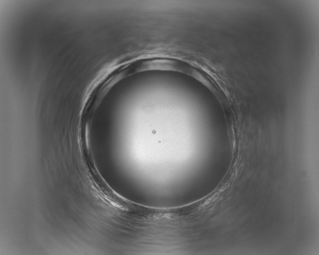 X0000052920152200507151559