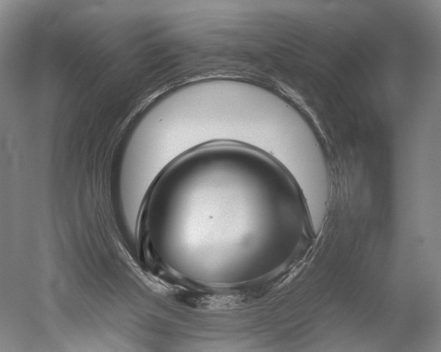 X0000052920154200507151559