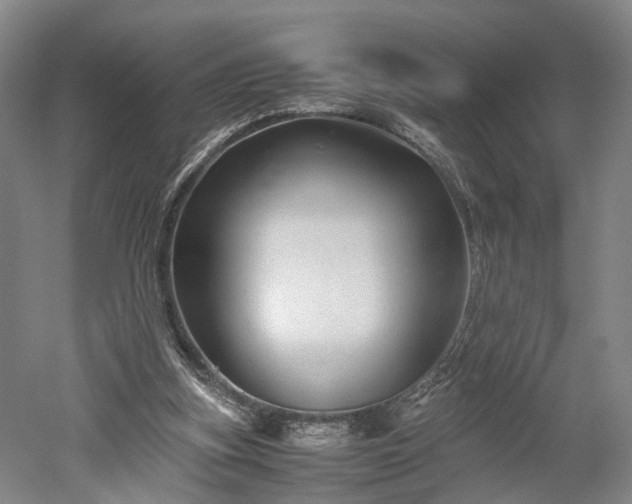X0000052920155200507151559