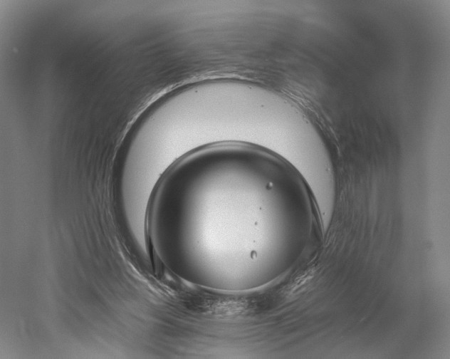 X0000052920156200507151559