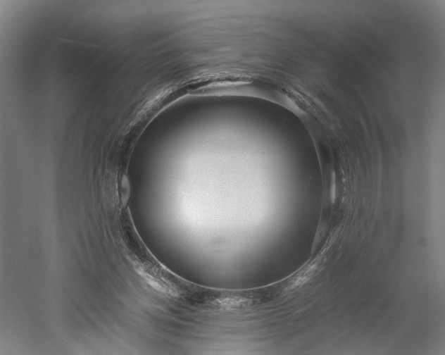 X0000052920158200507151559