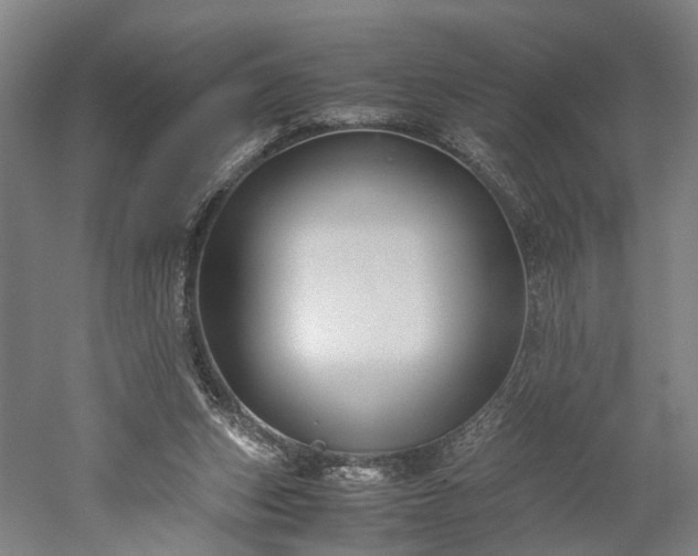 X0000052920159200507151600