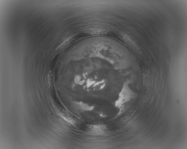 X0000052920165200507151600