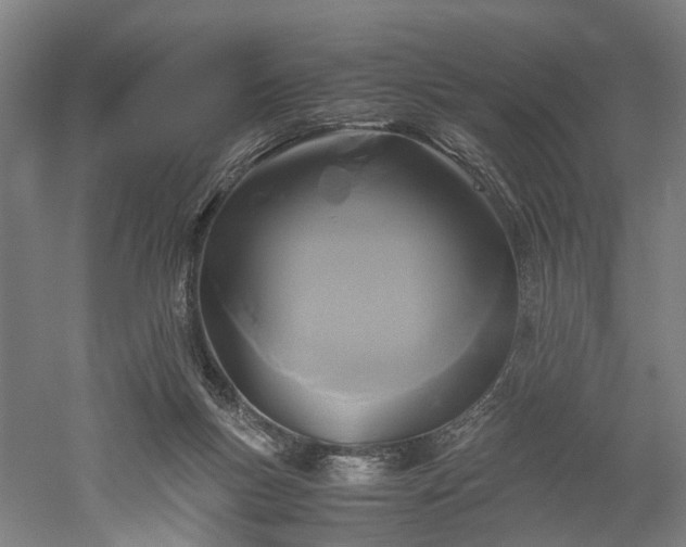 X0000052920167200507151600