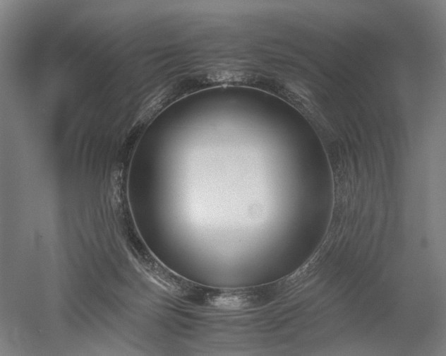 X0000052920171200507151600