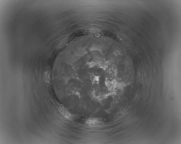 X0000052920177200507151600
