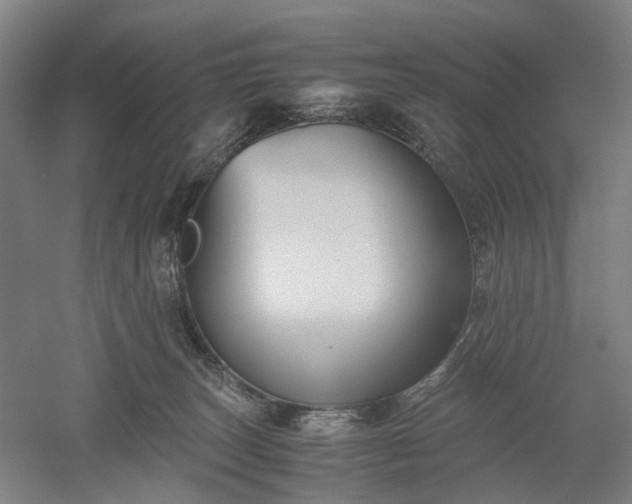 X0000052920179200507151600