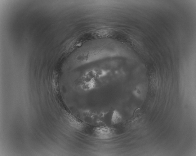 X0000052920181200507151600