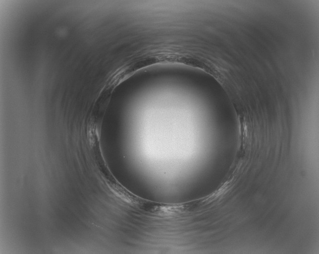 X0000052920188200507151600