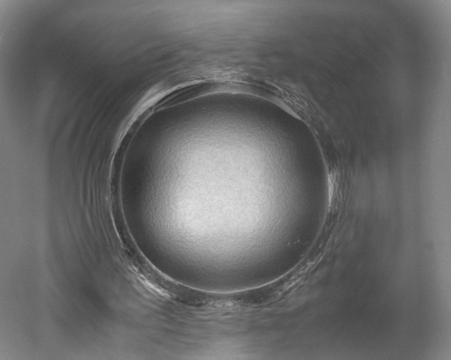 X0000052920195200507151559