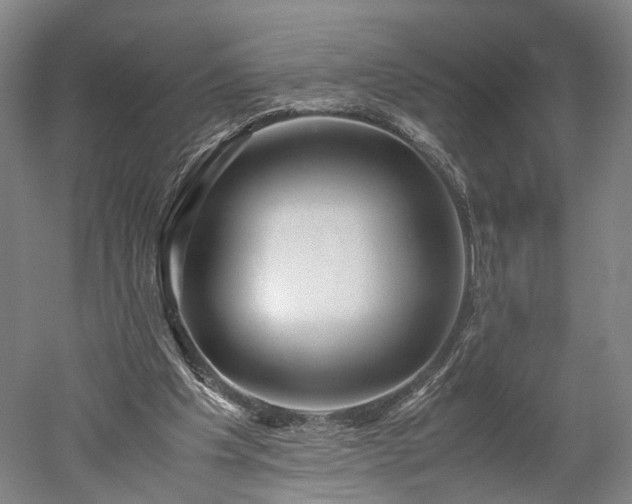 X0000052920201200507151559