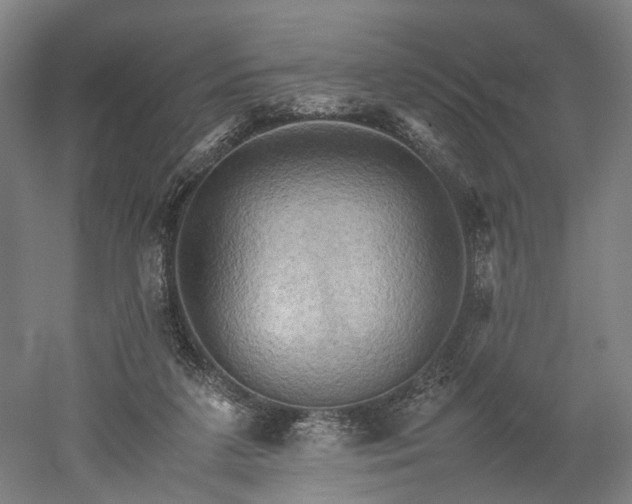 X0000052920211200507151559