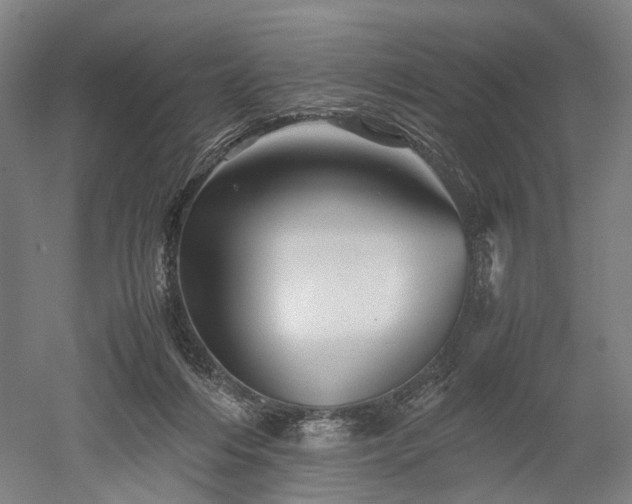 X0000052920216200507151559