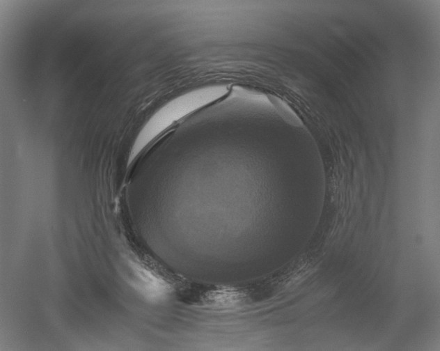 X0000052920219200507151559