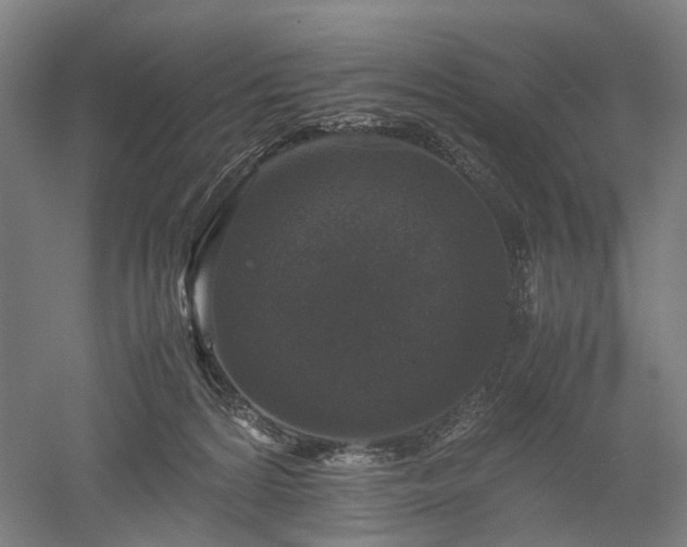 X0000052920224200507151559