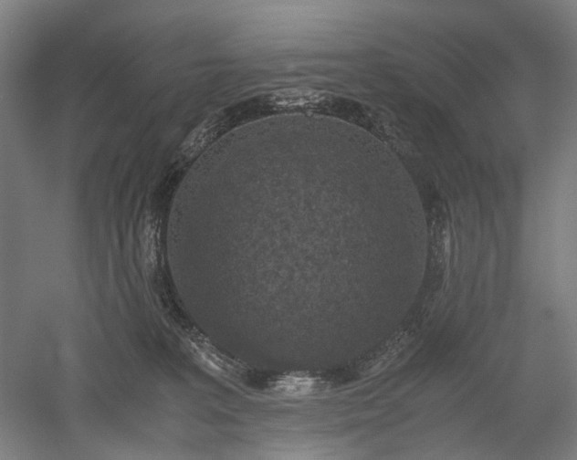 X0000052920227200507151559