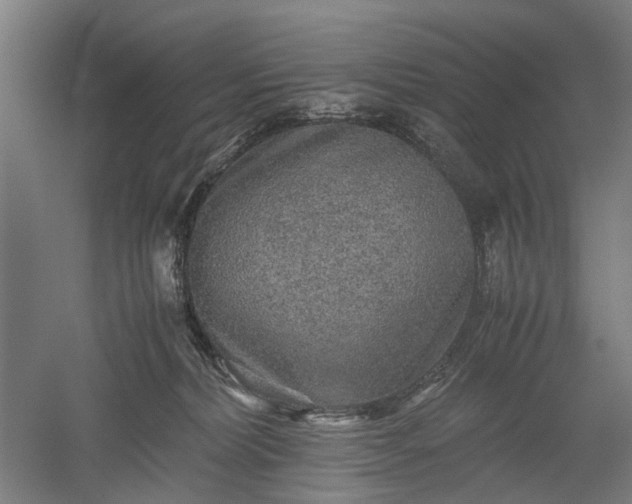 X0000052920228200507151559
