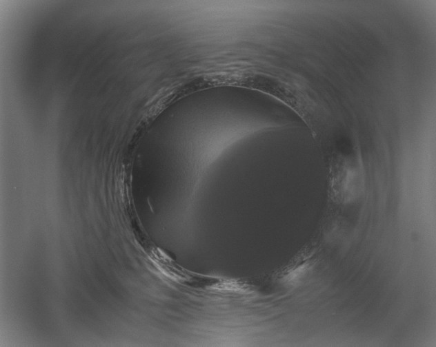 X0000052920231200507151559