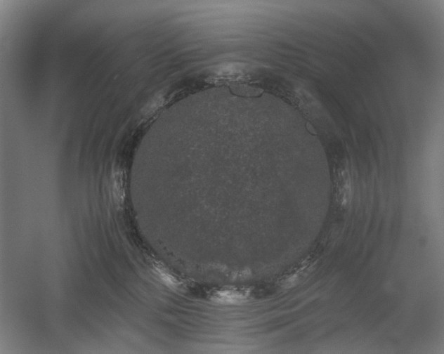 X0000052920232200507151559