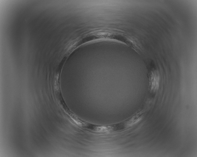 X0000052920239200507151558
