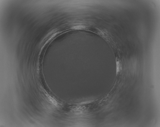X0000052920243200507151558