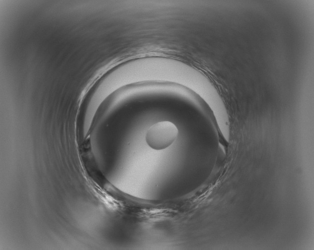 X0000052920244200507151558