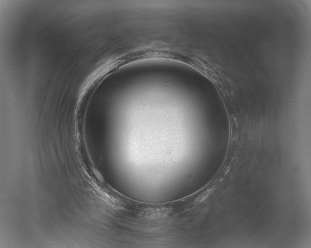 X0000052920245200507151558