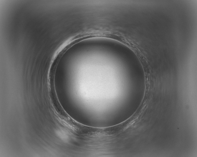 X0000052920246200507151558