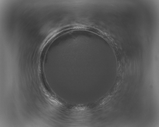 X0000052920247200507151558