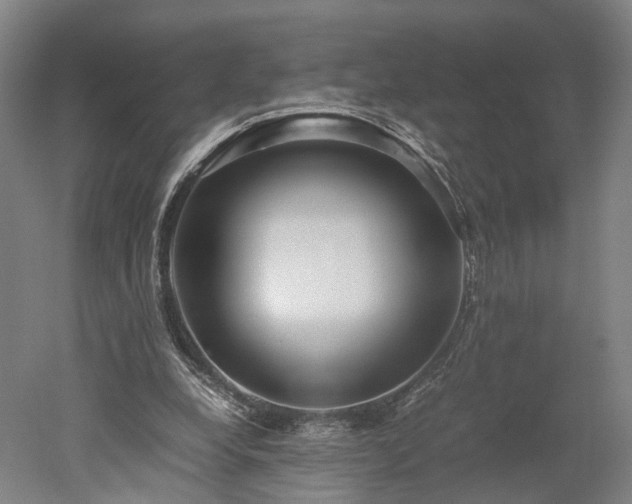 X0000052920248200507151558