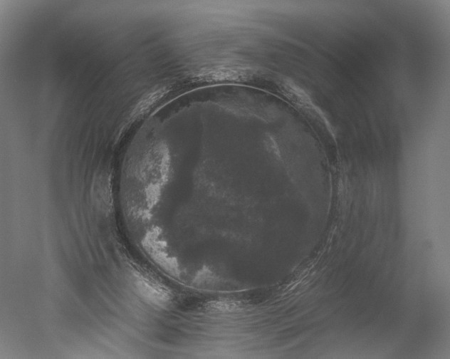 X0000052920250200507151558