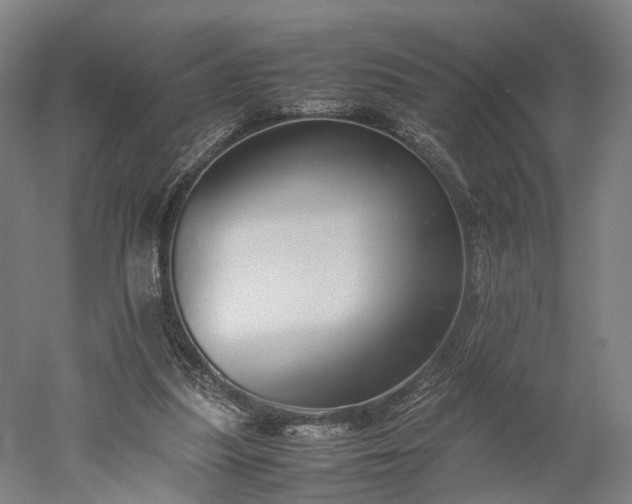 X0000052920251200507151558