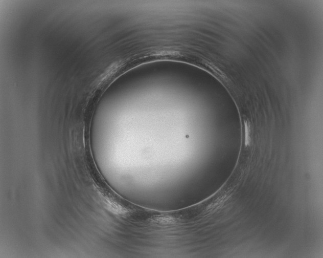 X0000052920253200507151558