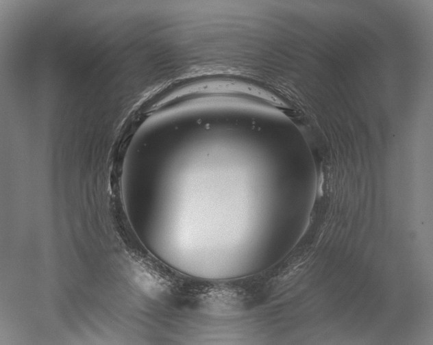 X0000052920256200507151558