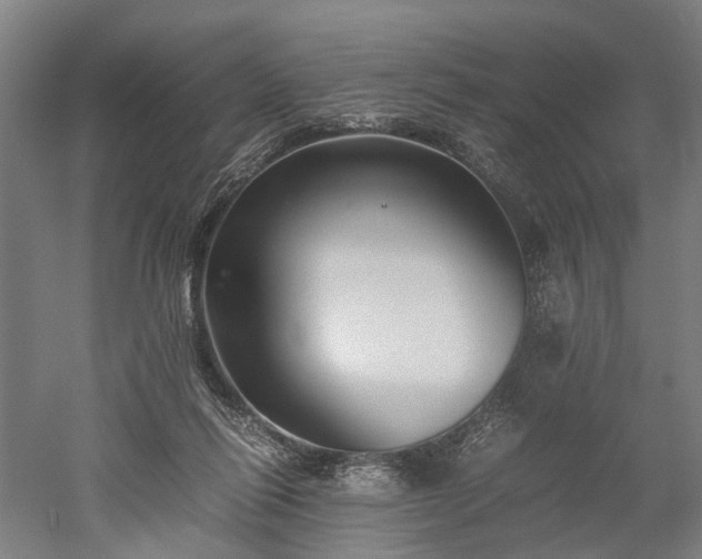 X0000052920262200507151558