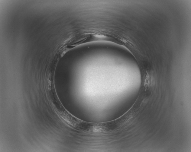 X0000052920264200507151558
