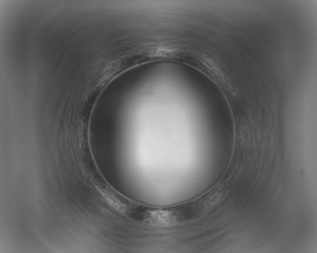 X0000052920265200507151558