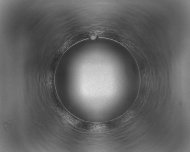 X0000052920274200507151558