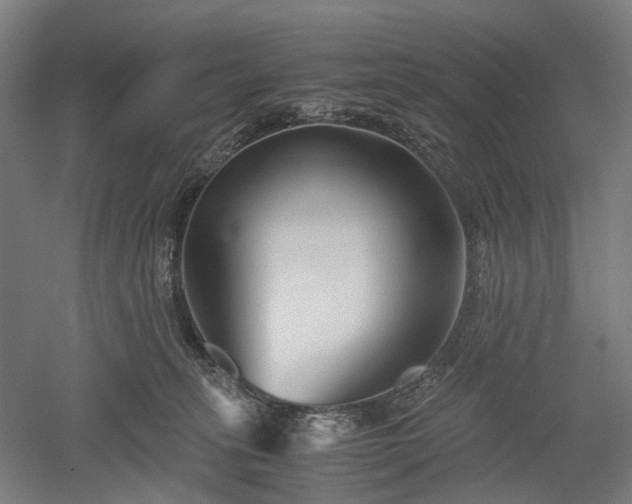 X0000052920275200507151558