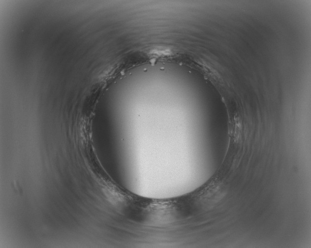 X0000052920280200507151558