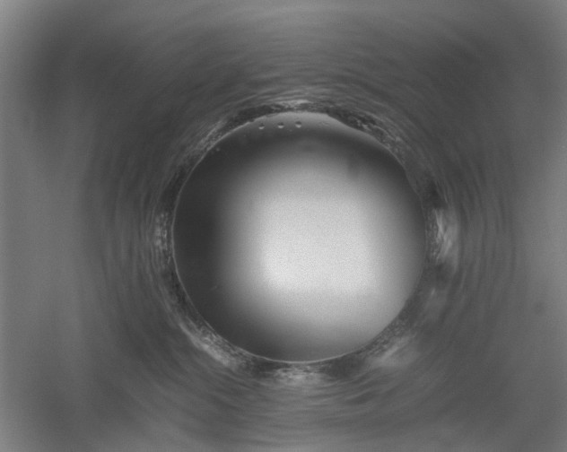 X0000052920284200507151558