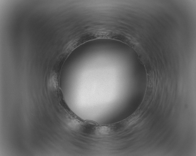 X0000052920287200507151558