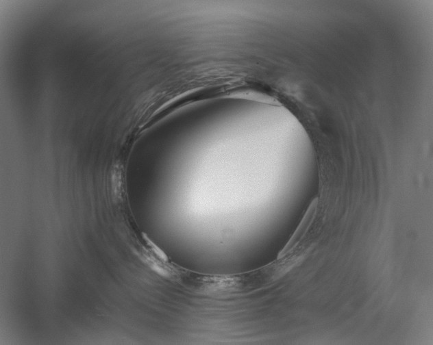 X0000052920288200507151558