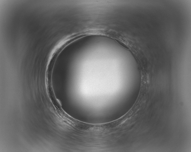X0000052920294200507151558